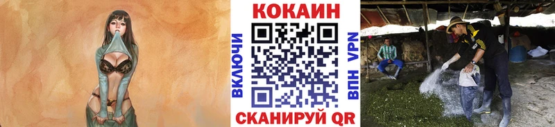 Cocaine Колумбийский  Купить закладки  Плавск 