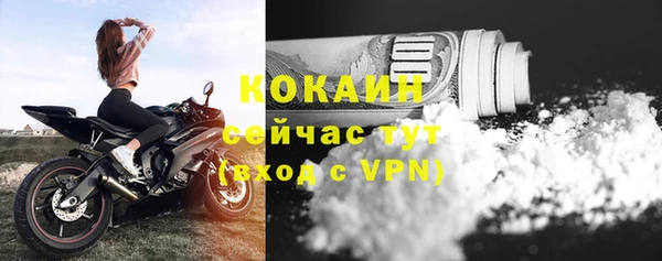 a pvp Горняк
