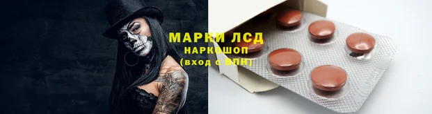 a pvp Горняк