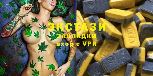 a pvp Горняк