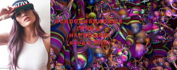 a pvp Горняк