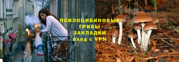 a pvp Горняк
