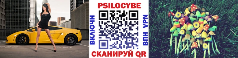 Купить  Плавск  Галлюциногенные грибы Psilocybine cubensis 